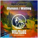 Apex Sound - Waiting