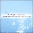 Mindfulness Amenity Life Selection - Mechanism & Concentration