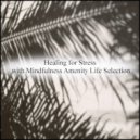 Mindfulness Amenity Life Selection - Confession & Tension (Original Mix)