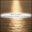 Mindfulness Amenity Life Selection - Ordovician & Coping Skills