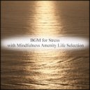 Mindfulness Amenity Life Selection - Entropy & Anxiety
