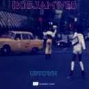 RobJamWeb - Birds In Flight