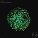 Rhalef - The Funky Beat