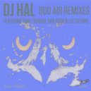 DJ Hal - Bud Air (Dan Cook Remix)