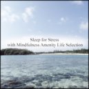 Mindfulness Amenity Life Selection - Asphalt & Sensitivity