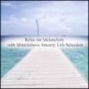 Mindfulness Amenity Life Selection - Dispersion & Self Pleasure (Original Mix)