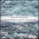 Mindfulness Amenity Life Selection - Giraffe & Safety