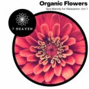 Kamakshi Sounds - Together Forever (Original Mix)