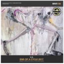 Ricardo Diaz - Never Miss Shaka (Alex Young & Deetech Remix)