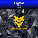 FligMat - Critical