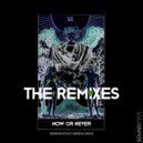 Newman ft Neresa Maye - Now or Never (Sol Brown Remix)