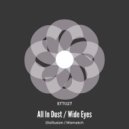 All In Dust - Disillusion (Original Mix)