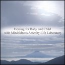 Mindfulness Amenity Life Laboratory - Schedule & Life