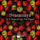 Svaramaya - C12H16N2 (Original Mix)