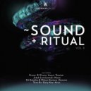 Aires - Delirios Subtropicais (Original Mix)