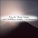 Mindfulness Amenity Life Laboratory - Lapis Lazuli & Insomnia (Original Mix)