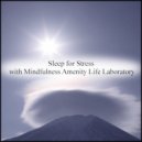 Mindfulness Amenity Life Laboratory - Shell & Mental Stability