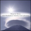 Mindfulness Amenity Life Laboratory - Song & Nervousness (Original Mix)