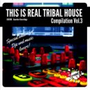 Tommy Love feat. Twiggy Vilela - Into The Vibe (Tommy\'s Big Room Dub)