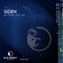 SIDEN - State Of Art