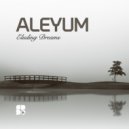 Aleyum - Glowing Memories