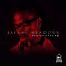 Jaleal Meadows - Fly Away (Soul Disco Remix)