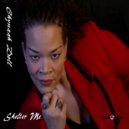 Chynaah Doll - Shelter Me (Progressive Mix)