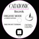 Organic Mode - Always Bothering