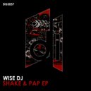 Wise DJ - Hajato (Original Mix)