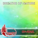 In-Soul - 4-2