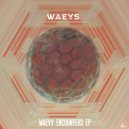 Waeys - Against The Current