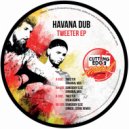 Havana Dub - Somebody Else (under_score Remix)