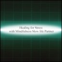 Mindfulness Slow Life Partner - Parabola & Detox (Original Mix)