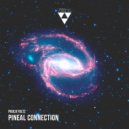 Paulo Foltz - Peace (Original Mix)