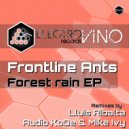 Frontline Ants - Forest rain (Lluis Ribalta Remix)