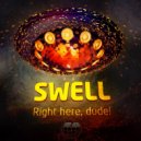 Swell & Solar Spectrum - The Loop (Original Mix)