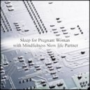 Mindfulness Slow Life Partner - Manet & Life (Original Mix)
