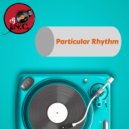DJ I.N.C - Particular Rhythm