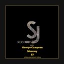 George Campean - Violenta Logistics