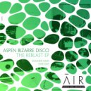 Aspen Bizarre Disco - One Day