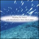 Mindfulness Slow life Center - Socrates and Sensitivity