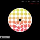 James Robertson - Feelin\' It (Original Mix)