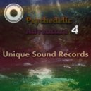 Platinum Butterfly - Sense & Nonsense (Original Mix)