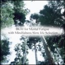 Mindfulness Slow Life Selection - Zebra & Self Talk