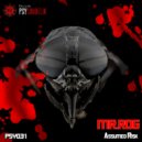Mr. Rog - Assumed Risk (Original Mix)