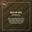 The Early Bird - King Pakal (Acid Mix)