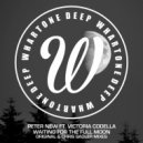Peter New feat. Victoria Codella - Waiting For The Full Moon (Instrumental Mix)