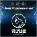 PauL Andix, Wolfrage - Experience (Original Mix)