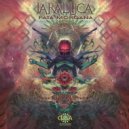 Jaraluca - Solar Spectrum