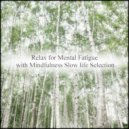 Mindfulness Slow Life Selection - Diamond & Life